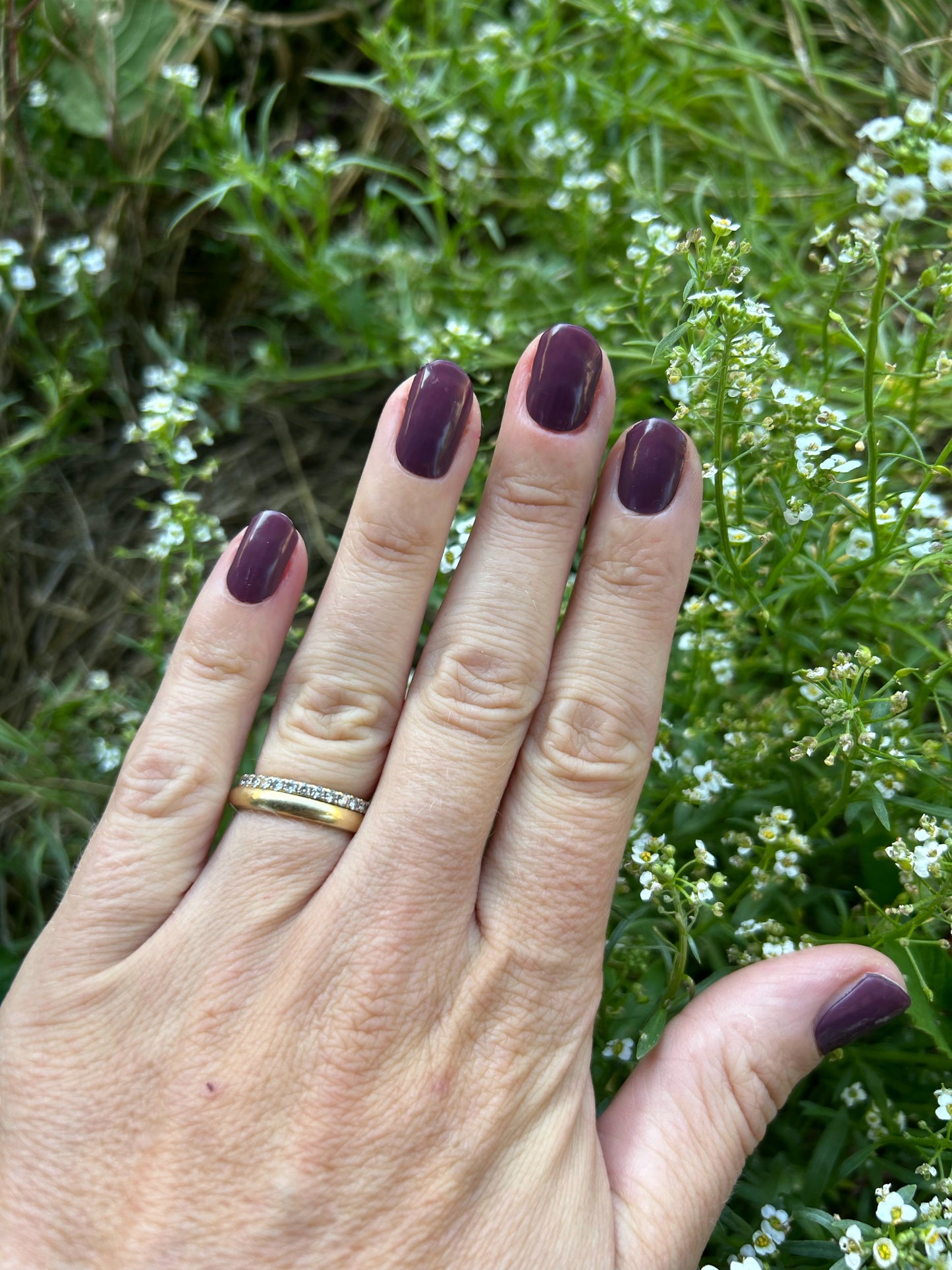 Classic Plum UV