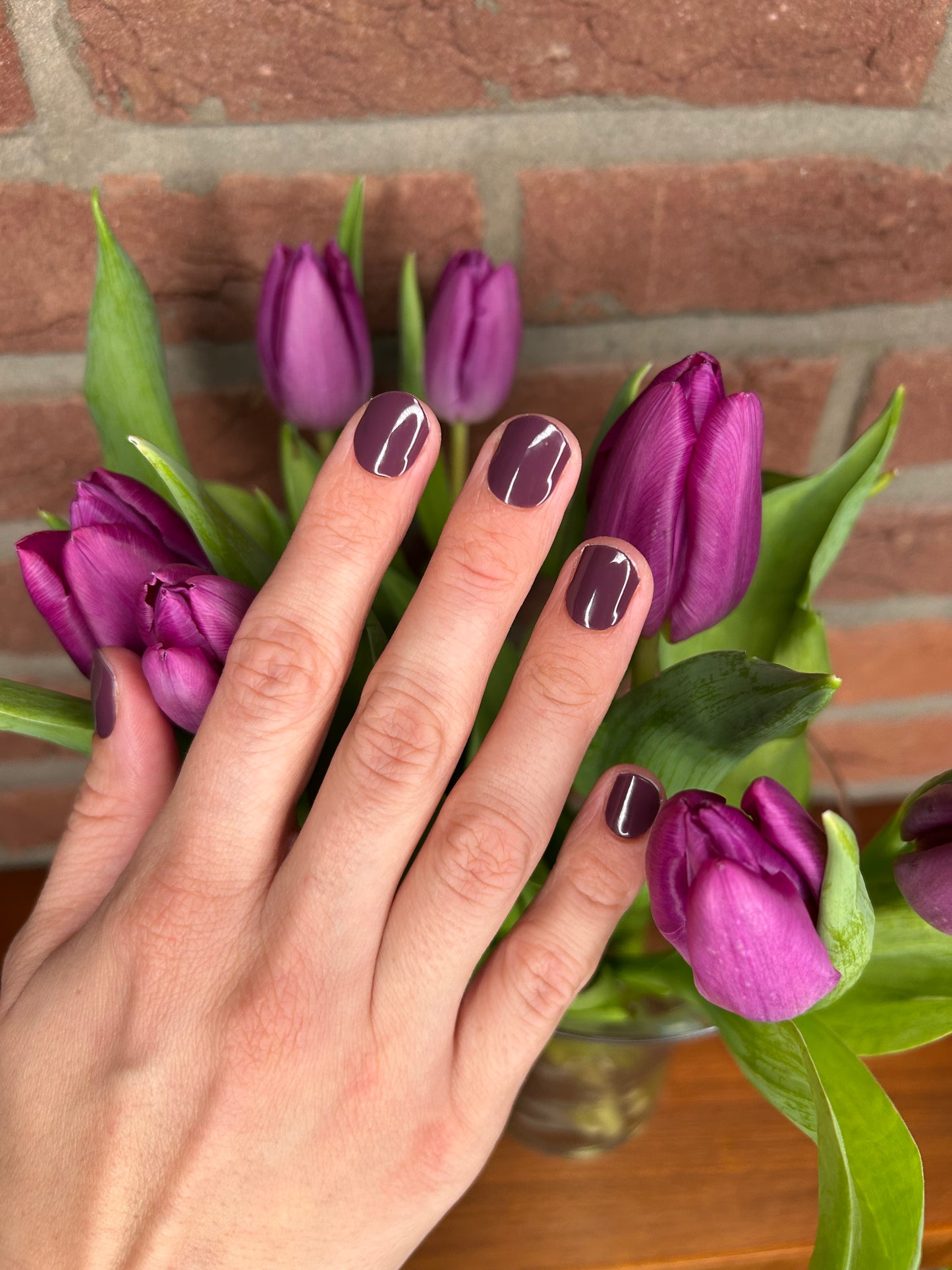 Classic Plum UV
