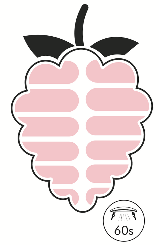 Rosie Transparent UV