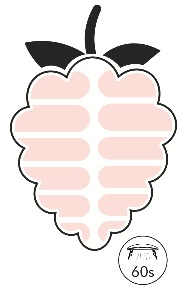 Milky Rose Transparent UV