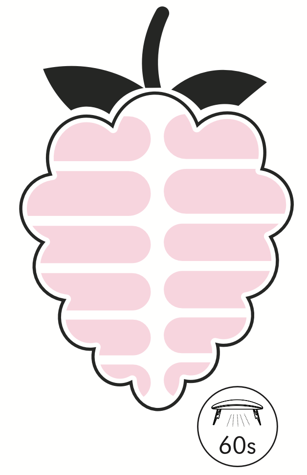 Creamy Rose UV