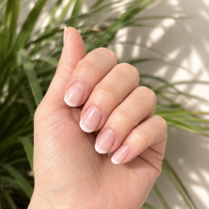 Babyboomer Natural UV