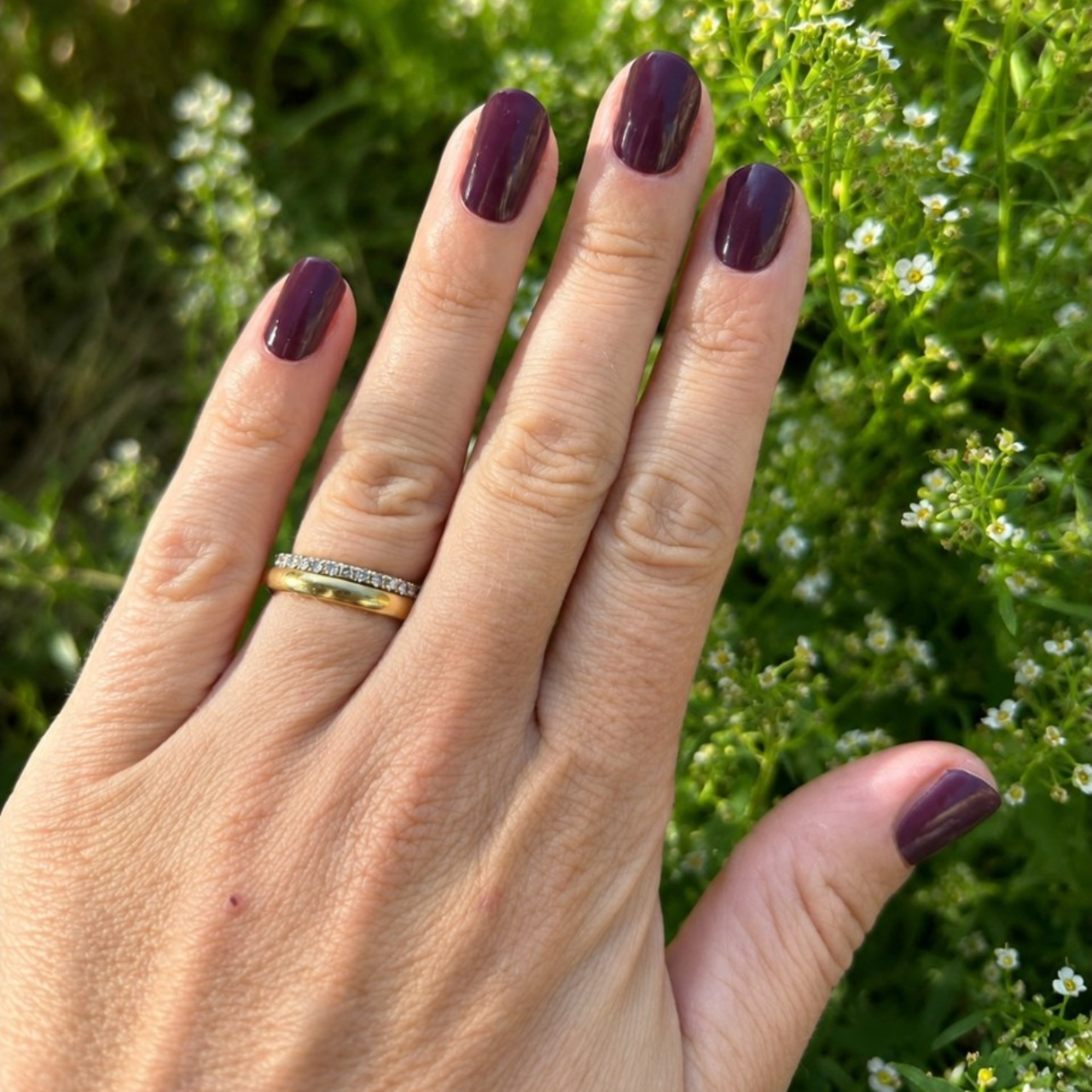 Classic Plum UV