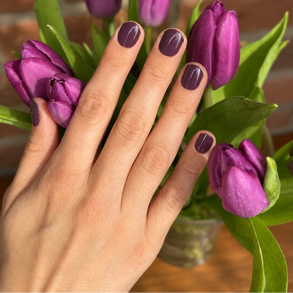 Classic Plum UV