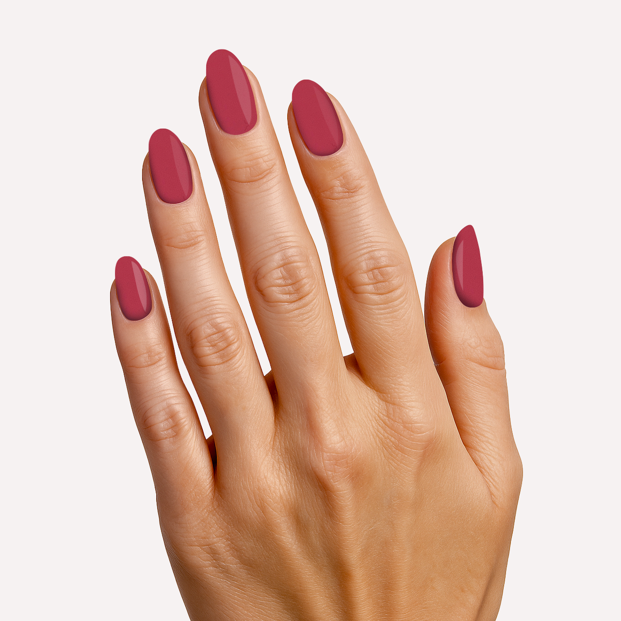Hibiscus Pop
