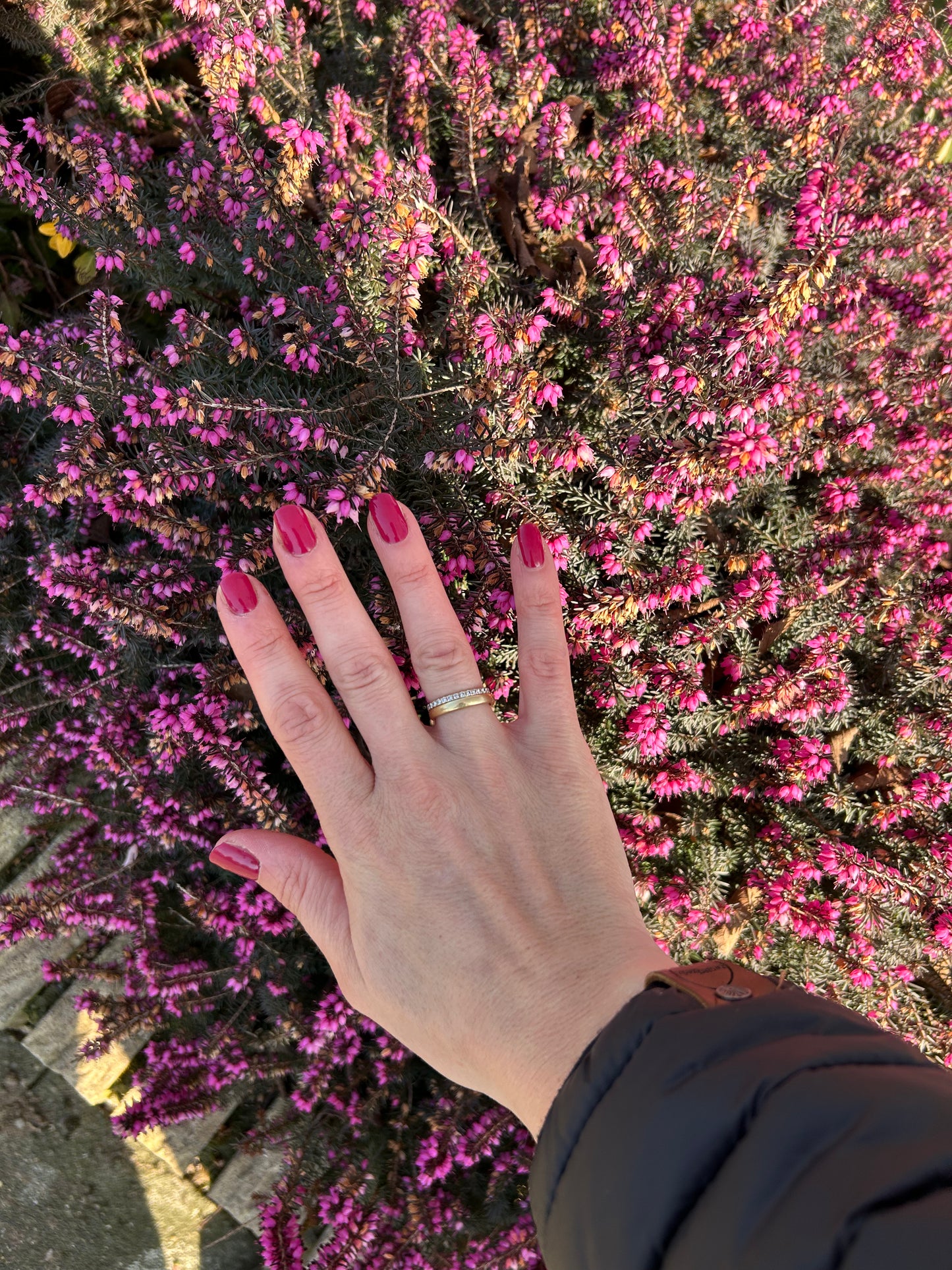 Fuchsia Flame UV